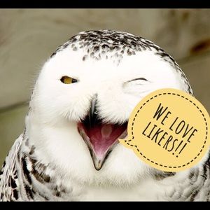 Like! Like! Like! We love likers!!